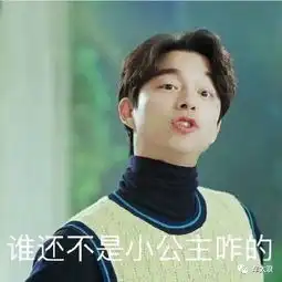 这车只能晴天开大众设计师脑子进水了吧