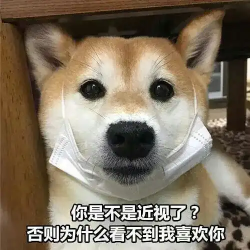 有在西安上研究生的鹅吗