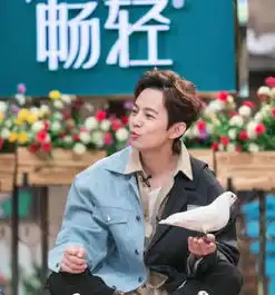 快本吊绳意外断开,何炅高空坠落,生气的发飙还骂哭了导演