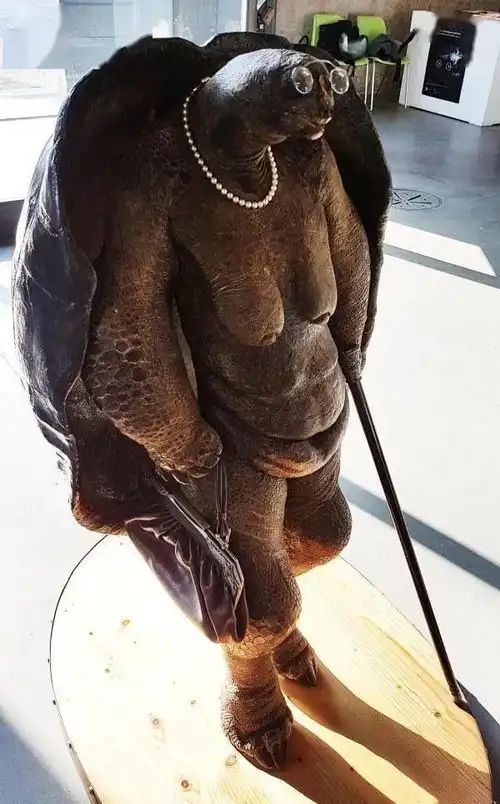 1146期蜜獾和黑背胡狼争夺一条蟒蛇一只巨型壁虎狗想要绞死这只猫失去下半身的蟑螂蜻蜓的头断了