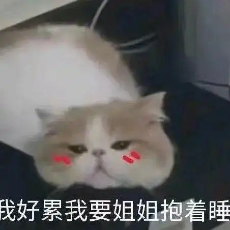 dddd
