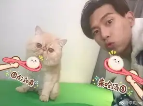 李现晒出童年照,原来这些明星以前是土肥圆