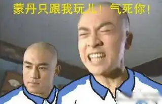 蒙丹表情包走红牟凤彬太污的接受不了