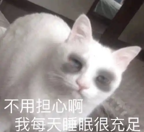 有没有关于睡觉熬夜表情包呀