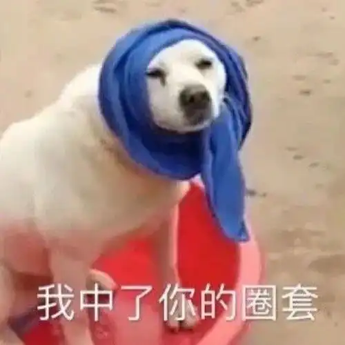 越看越有意思的搞怪网名