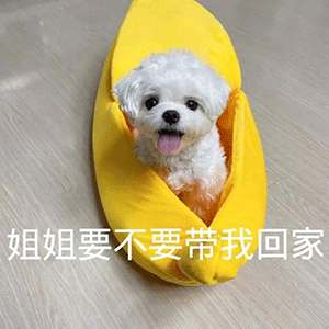 沙雕表情包外面比想象中冷