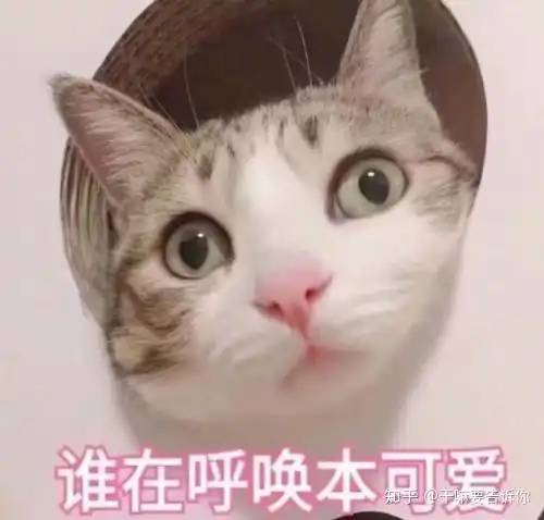 关于学习意大利语的一点点感受与经验
