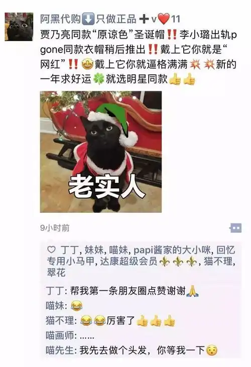 假如猫咪也有朋友圈,这塑料猫咪姐妹情,我真的笑了