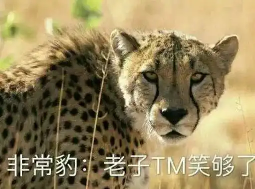北京地铁2号线太搞笑哈哈哈哈哈哈哈哈哈