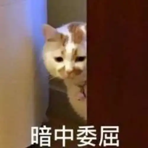 我好想要一个抱抱啊