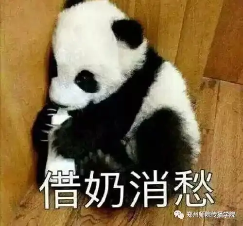 八项规定表情包来袭,你造吗