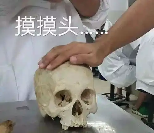 斗图专用这一波医学生的表情包很刺激