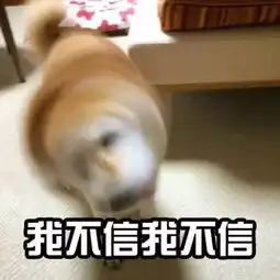 厦门环岛路出现尴尬一幕多名女游客海里游泳,上岸之后竟发现...