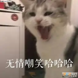 恕我胖虎拒绝表情包图片无情嘲笑哈哈哈表情包下载乐游网游戏下载