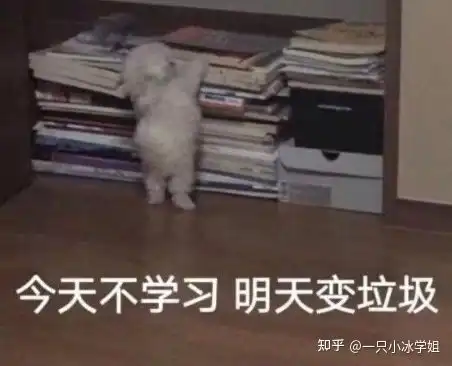 高二期末考试总分300左右数学12分现在努力学高三能考多少分