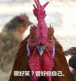 一个猴赛雷还不够,鸡年又被你们玩坏了,