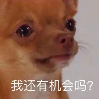 决定未来几十年收益的大事
