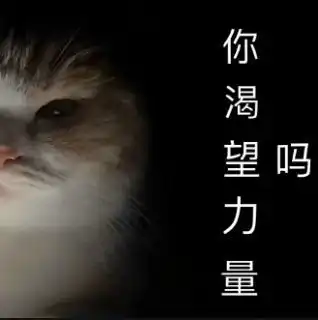 金鑫yoyo做社交媒体要靠量,做营销咨询要靠装