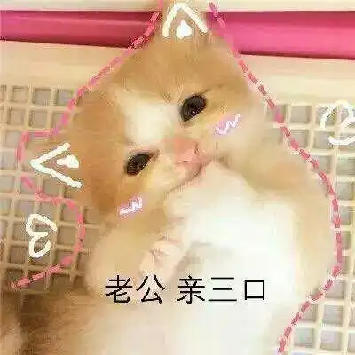 女生如何优雅地表达我喜欢你