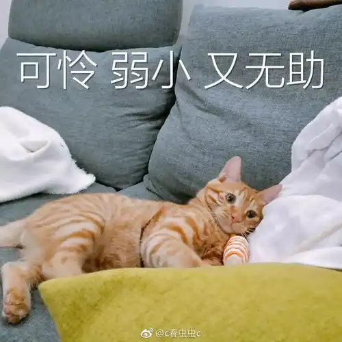 因为一个表情包被屏蔽,有多少人想不通......