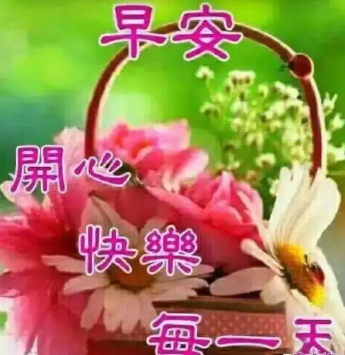 早上好问候表情图片带字带祝福,新年漂亮的清晨早上好带字祝福图片