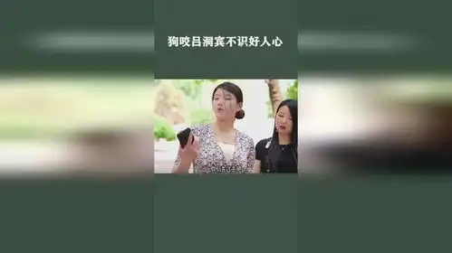 狗咬吕洞宾不识好人心