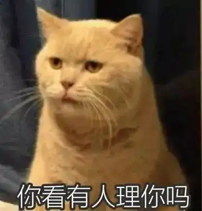 现代人虐猫的三大行为58买猫,淘宝买粮,百度求医