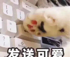 怎么追女生追女生的核心秘诀看了不后悔