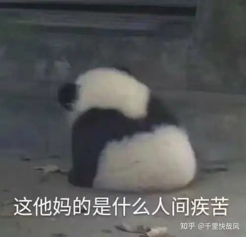 有没有斗图表情包,各位来交流一下华山论剑,请大家各显神通