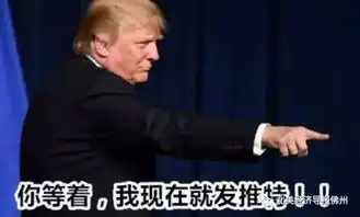 细数历届美国总统的第一宠物,一切只因爱得深沉