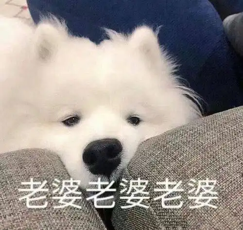 咬,老婆们,看看我今天收到的逞强缺德红包
