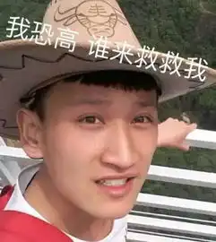小主独家限量表情包重磅来袭