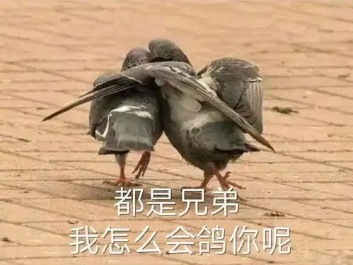 留学200万,回国3500,海归成了淡水龟,镀金成了镀铜