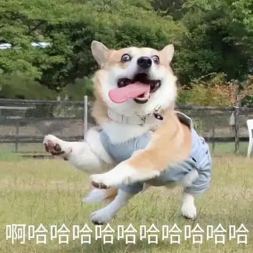 生而为人,我很抱歉