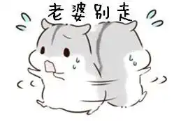 表情包天大地大,老婆最大