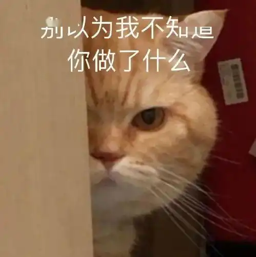 跟你超配的沙雕表情包