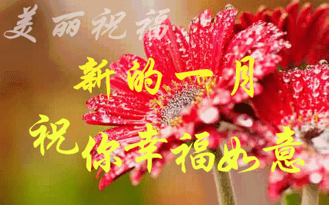 微信早上好暖心语录祝福图片大全,早晨好漂亮的表情图片送给你