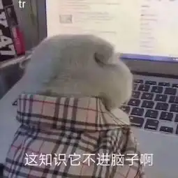 20172019我的天大时光