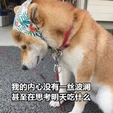 2021年最新款式个性头像,个性头像图片