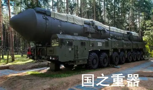 俄罗斯白杨洲际导弹表情包大杀器