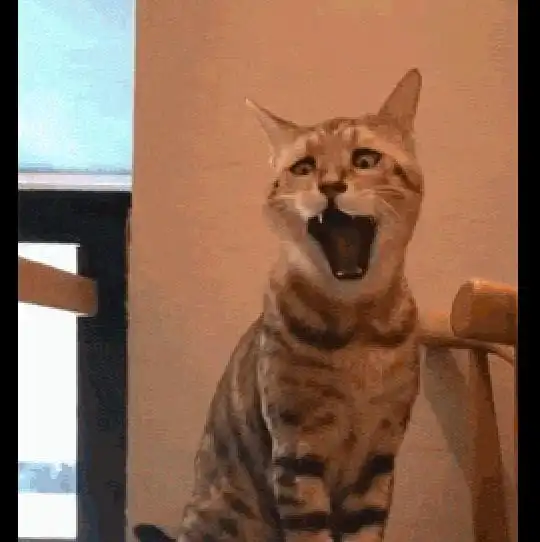 主人拍下了猫打哈欠的模样,表情也太狰狞了,看起来有点恐怖呢