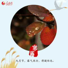 寒露来袭,这些养生知识你该知道