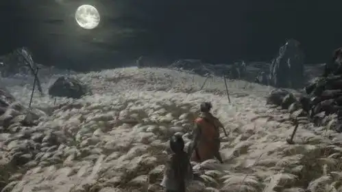 在游玩只狼之前,你必须知道的六件事