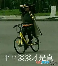 网络热词平平淡淡才是真是什么梗