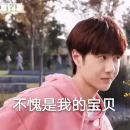王一博不愧是我的宝贝表情包衍生