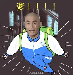 蒙丹,表情包