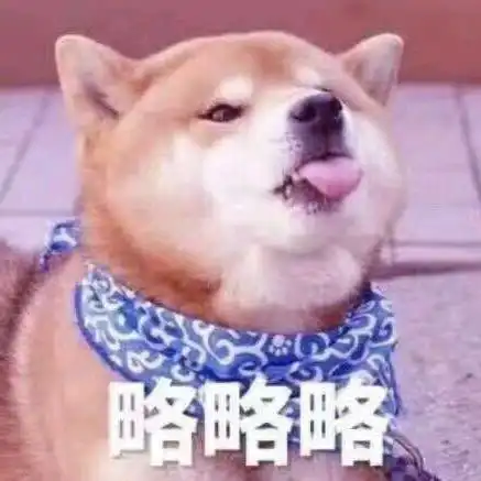 我的收藏夹