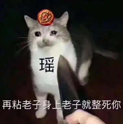 为什么排位要禁瑶,阵容不搭玩得太坑网友拆网恋