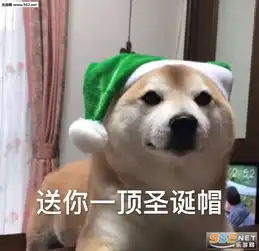 今夜我就是你的圣诞礼物表情包给你捂捂手表情包图片下载乐游网游戏下载