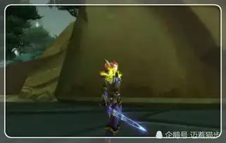 魔兽世界60级最难出的装备全服只有一两件不改掉率看不见